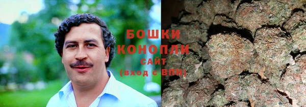 сатива Нефтекумск